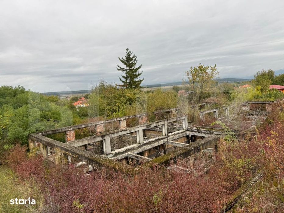 Teren intravilan 7362 mp, Oportunitate de investitie,