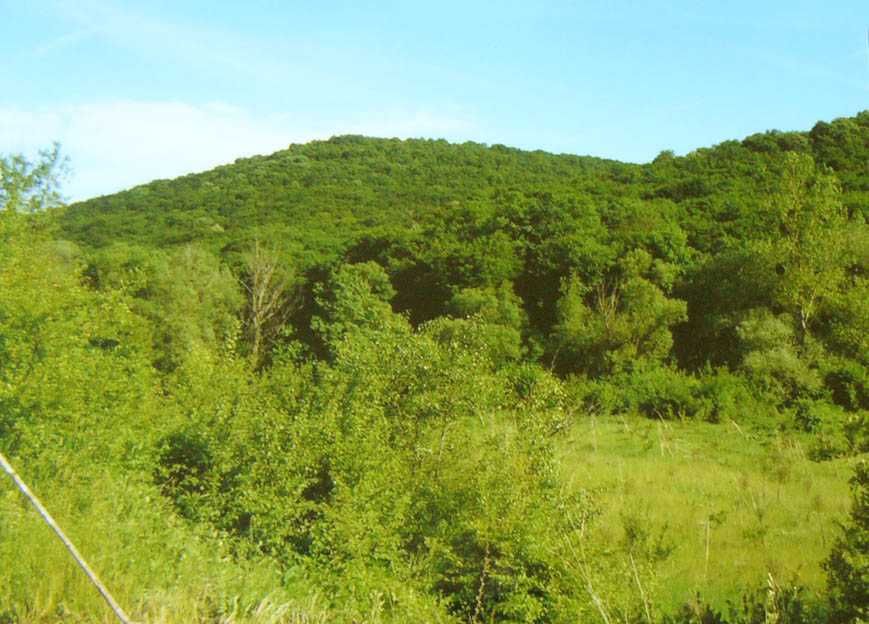 Имот,подходящ за ваканционно селище,имение с езеро,рибарници.