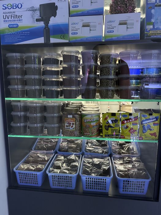 Zoomagazin Bek Aquarium