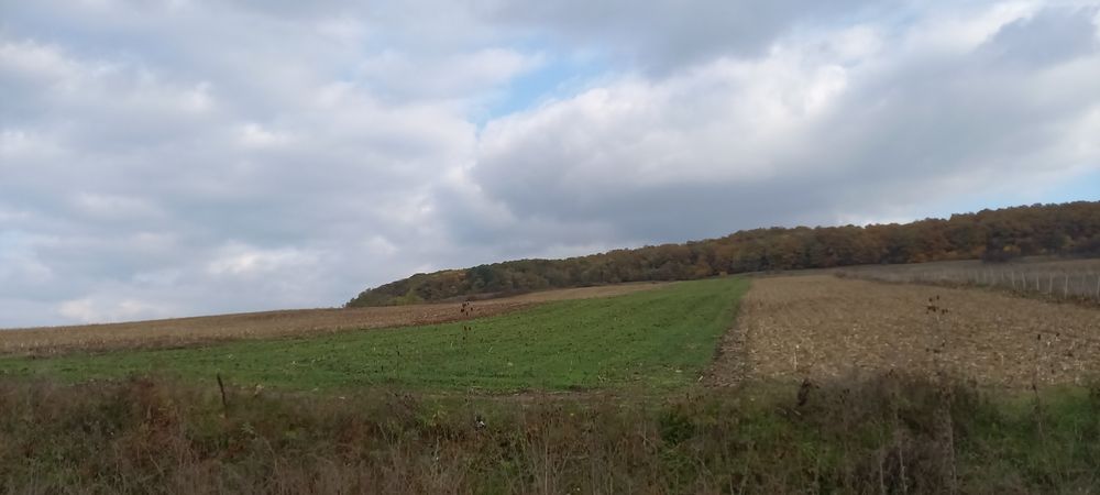Vand 1,2 ha de pamant intravilan in judetul Salaj