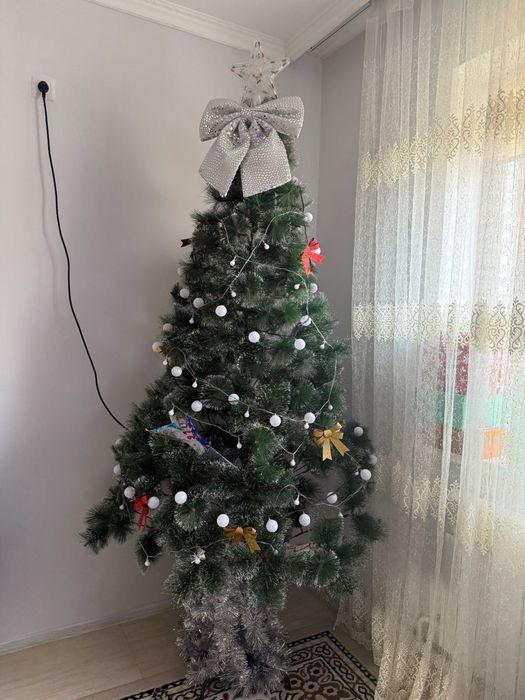 Шырша (ёлка) сатылады