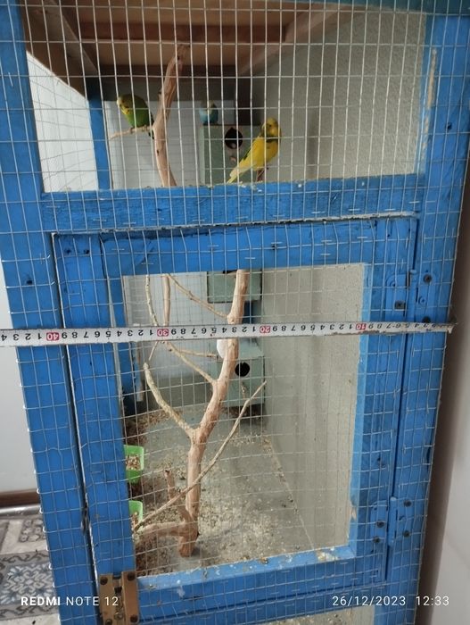 Qushlar qafasi bilan sotiladi