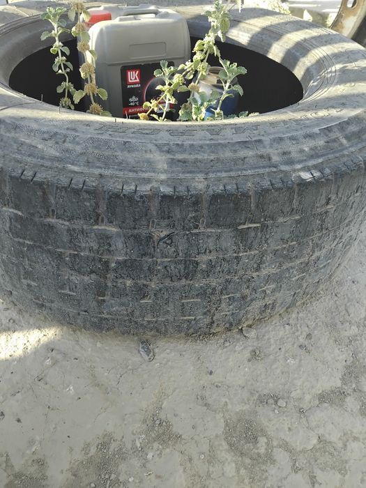 Диск и резина на запаску