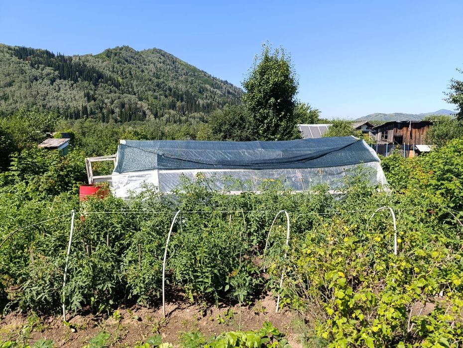 Дача в кооператив "Казахстан"