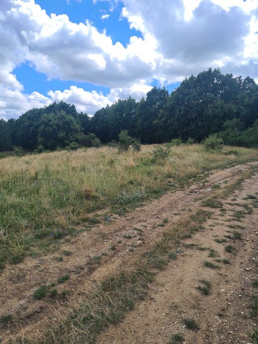 Teren extravilan  2500m2.  Panorama superba.-Salicea