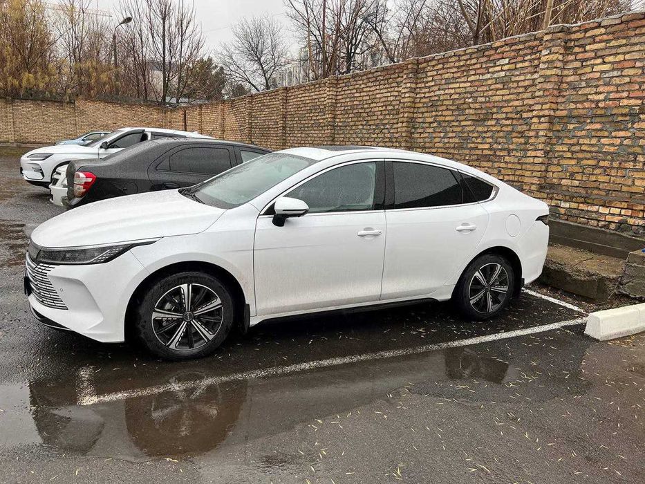 BYD Chazor Full 2025