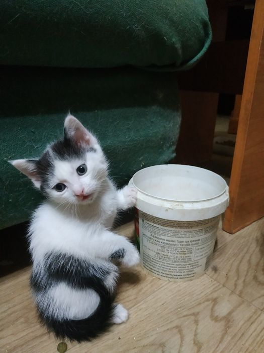 Предновогодняя распродажа