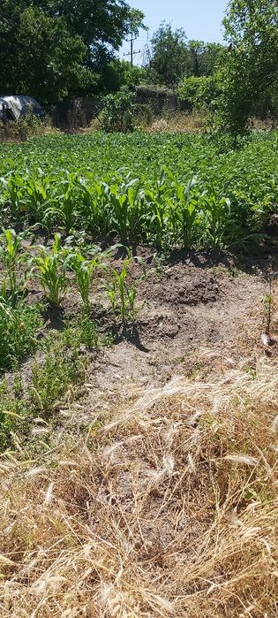 Продава се Къща в Сливен, Сини камъни - 45 кв.м за 453 €/кв.м - Снимка #7