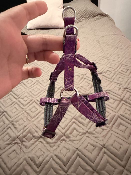 Нагрудних за малко куче