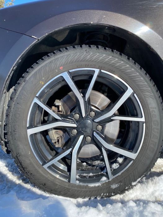 Продам  в хорошие руки