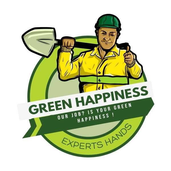 Gazon rulou 35 lei/mp MONTAJ INCLUS