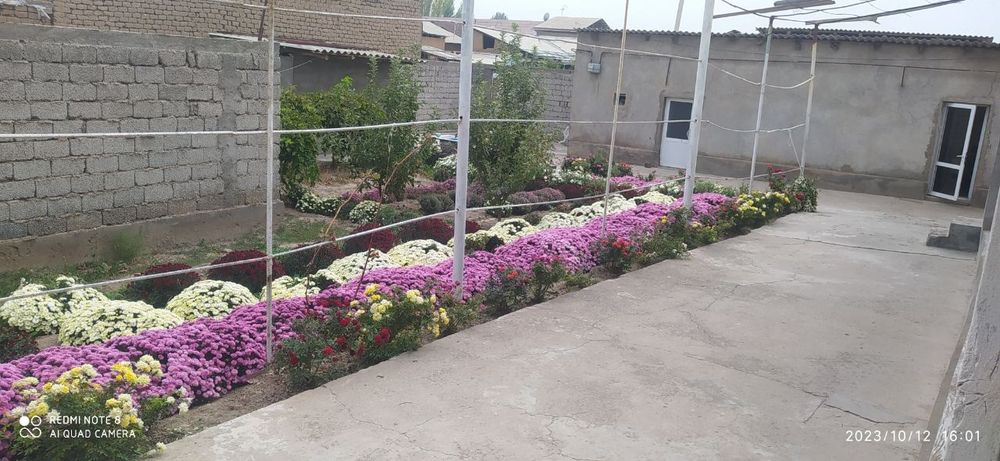 Дом продаётся кибрай