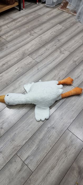 Гусь    Гусь  Гусь