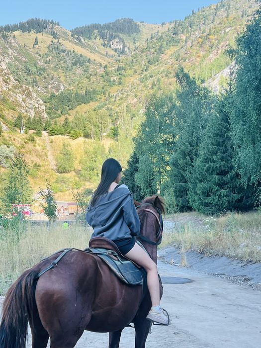 Айгыр, уйыр корген