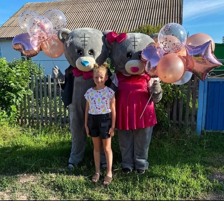 костюмы аниматора «Мишки Тедди».