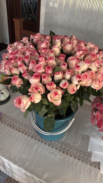 Әдемі свежи гул кеше келген