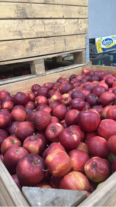 Vând Mere De Polonia,orice cantitate si orice soi Extra Lux