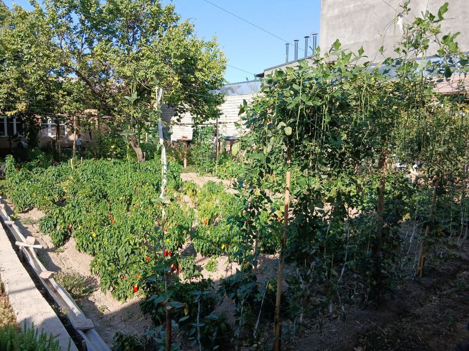 Toshkent viloyat Qibray tumani yakka chop 7 tor kocha 9 uy