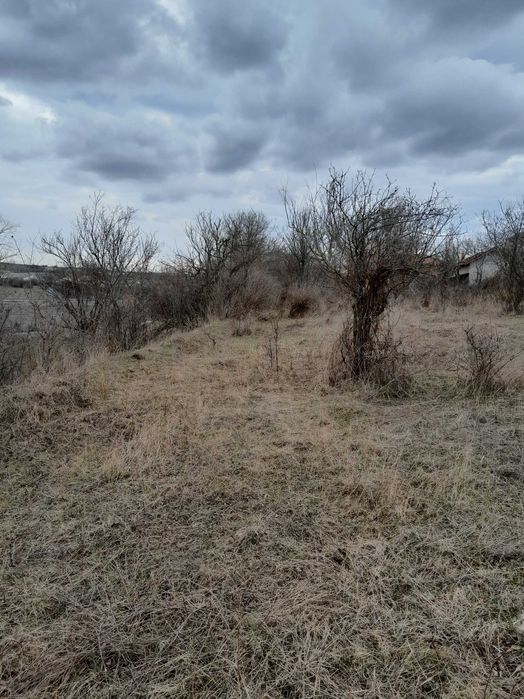 Парцел в регулация, кв.Кошарник, гр.Монтана