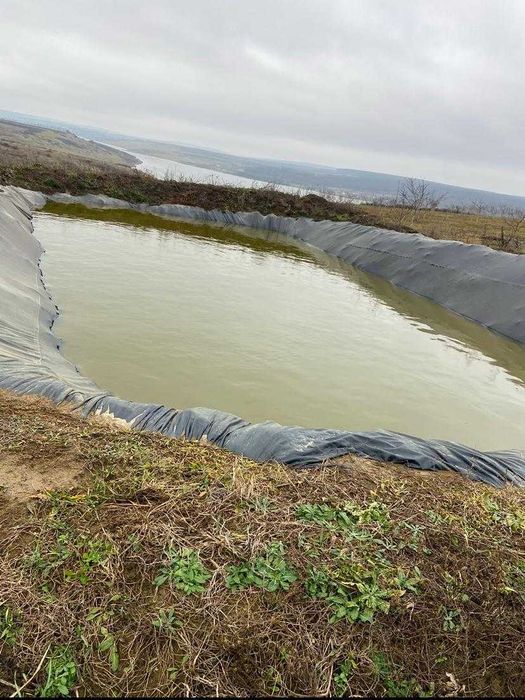 Livada nuci ecologic