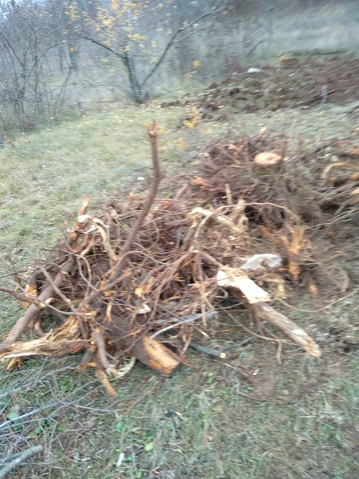 Мини багер дренажи основи ями почистване на градини дворни места ями