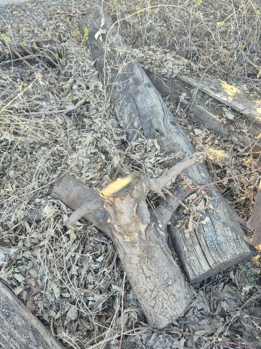 Отдам даром доски и шпалы на дрова