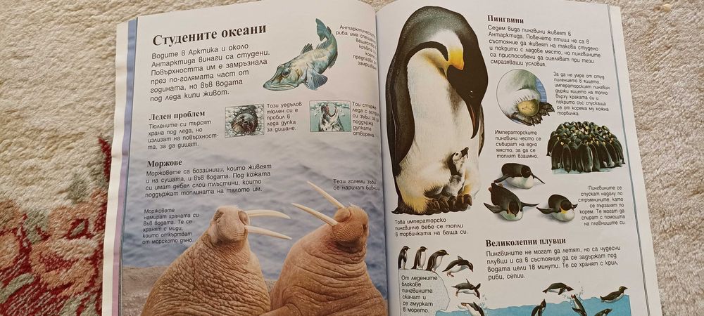 5 нижки енциклопедии за деца