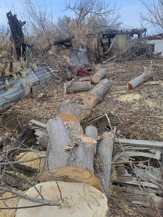 Продам пеньки и дрова.