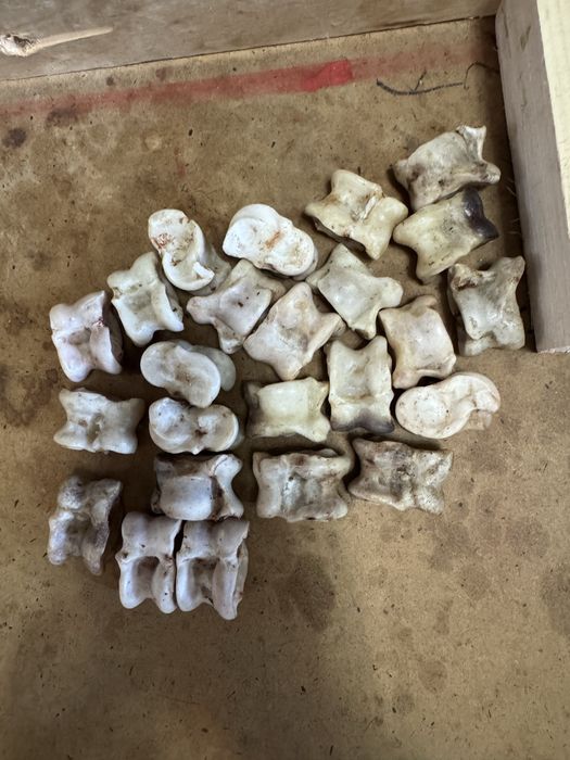 Асык для детей.