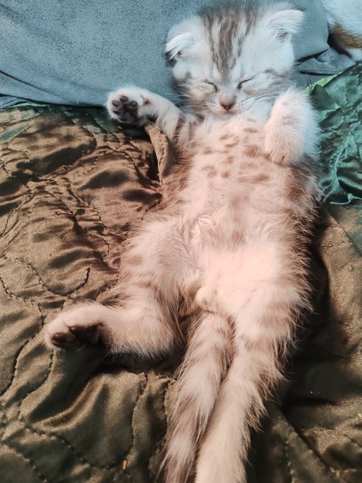 Пародистый красавец мальчик