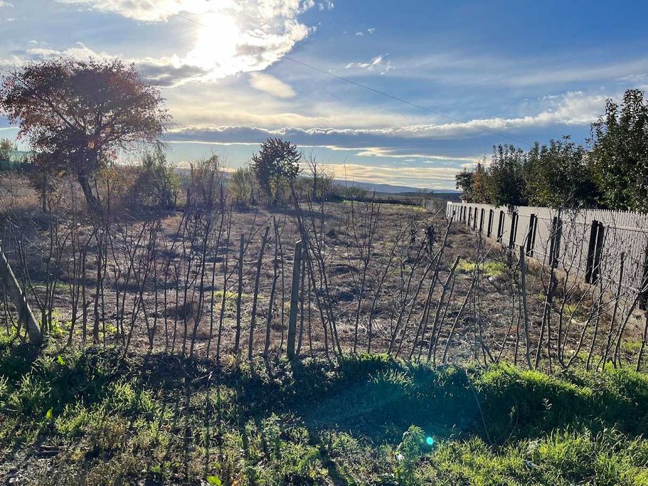 Teren intravilan Adjudu Vechi