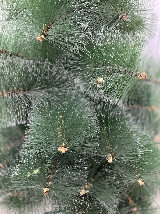 Ёлка  продается