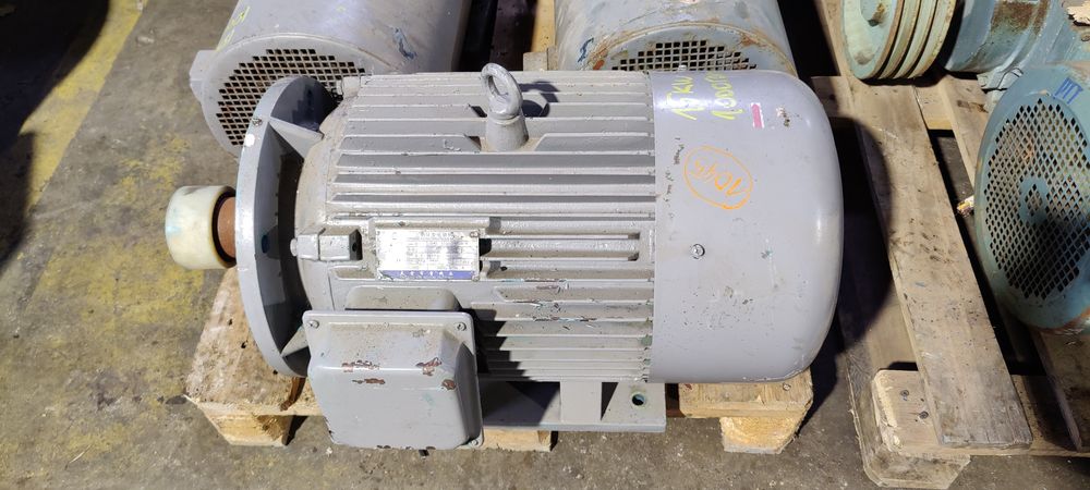 Motor electric trifazat cu talpa și flansa, 15kW, 1000rpm, 380V