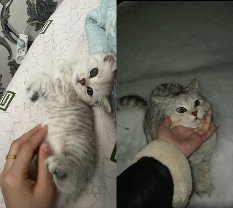 он очень хороший