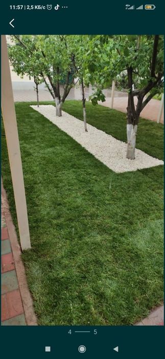 Посадка,укладка газона