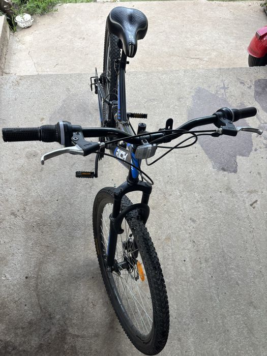 Bicicleta Rich Forest