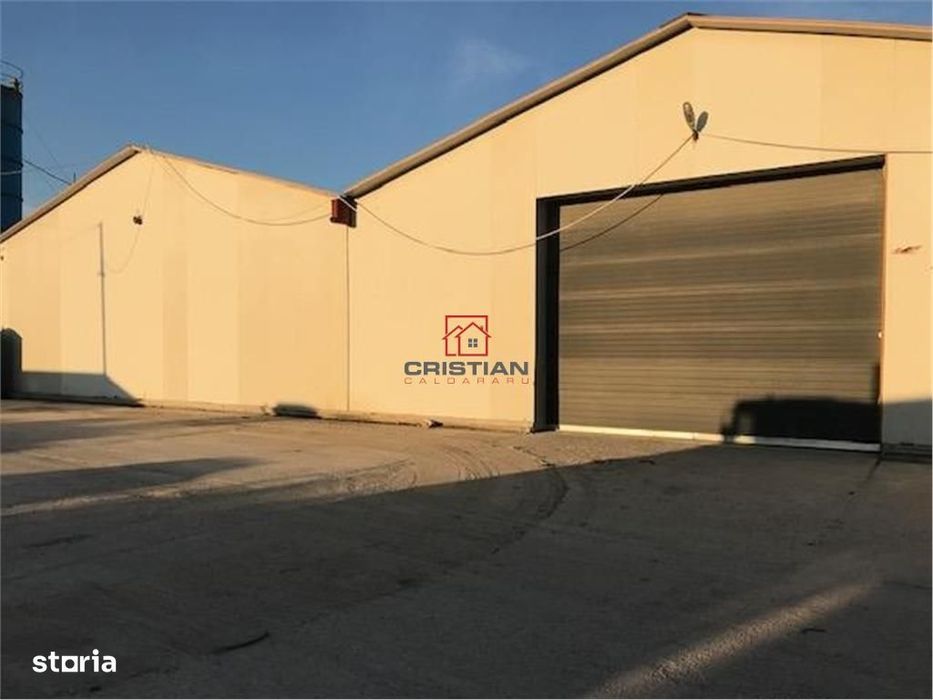Inchiriere depozithalaspatiu industrial Magurele - Bragadiru - Centura