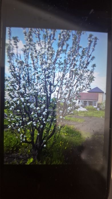 Дача в сообществе КЖБИ