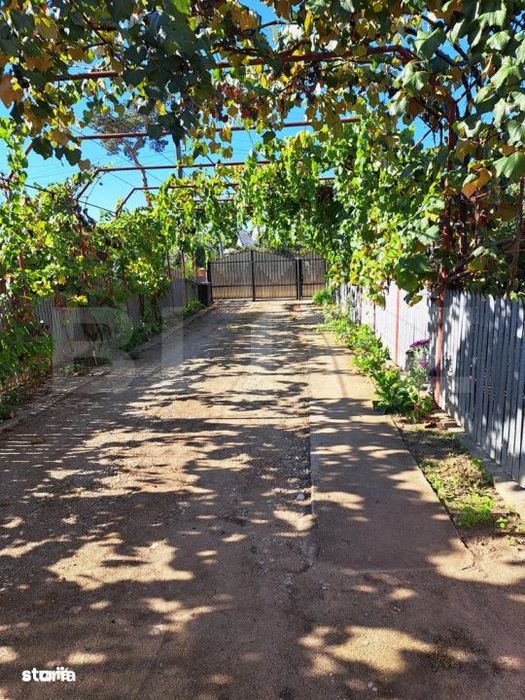 Casa cu gospodarie, livada si gradina, 106 mp – Costestii din Deal