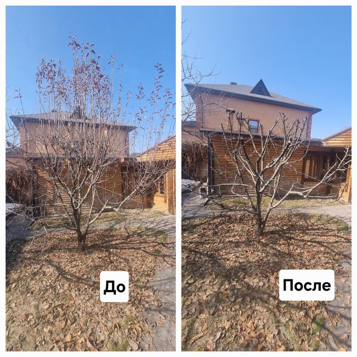 Обрезка плодовых деревьев разные!