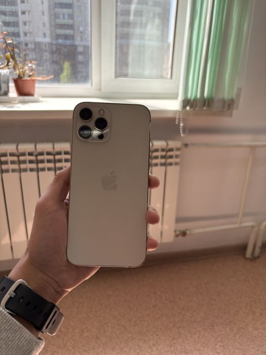 iPhone 12 pro max