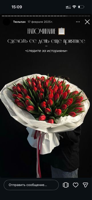 Тюльпан Алматы шт 500