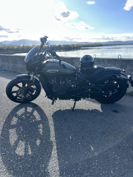 Indian Scout Rogue