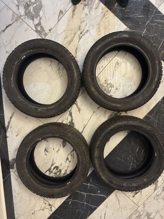 Triangle SnowLink PL01 98R