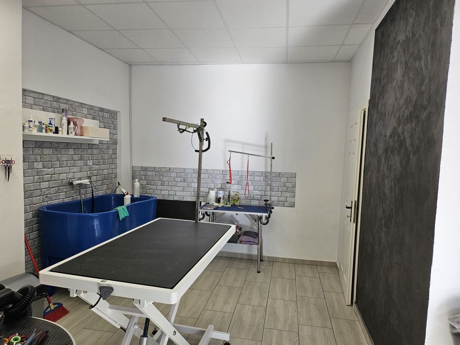 Spațiu comercial modern