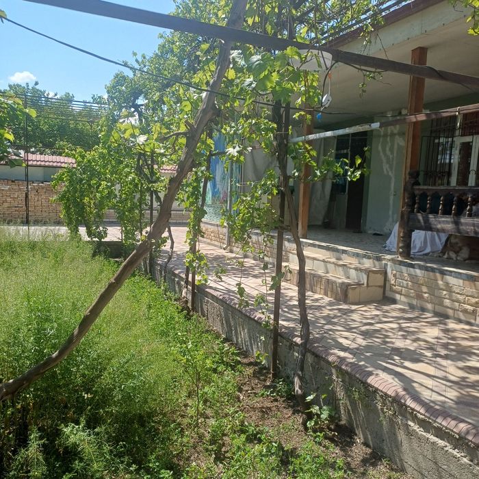 Котеж солтилади 6 сотих