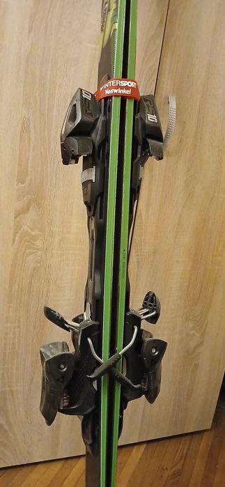 Schiuri Fischer Progressor