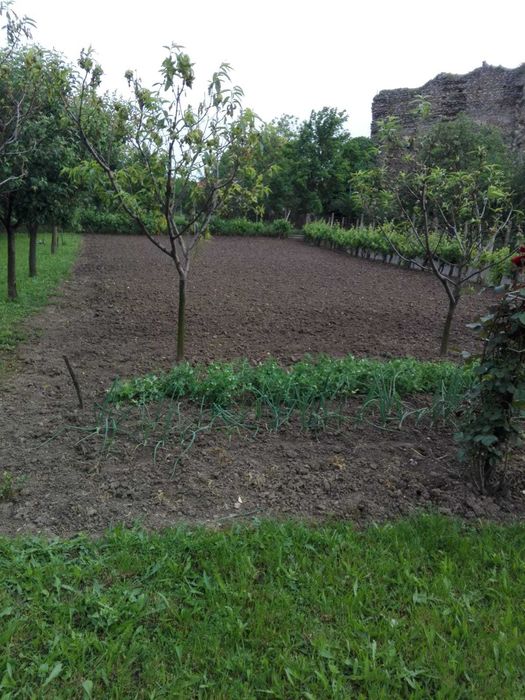 Casă de vânzare în Șiria (Arad) – 2 case, grădină mare, garaj