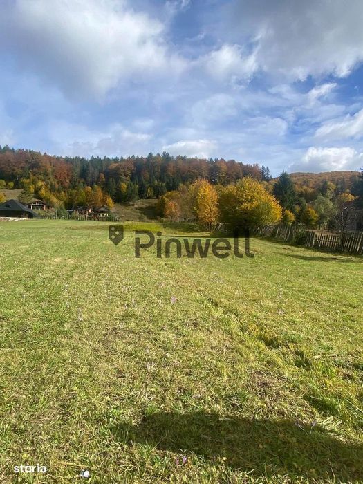Teren intravilan 4.100 mp de vânzare | Voroneț | Zonă deosebită
