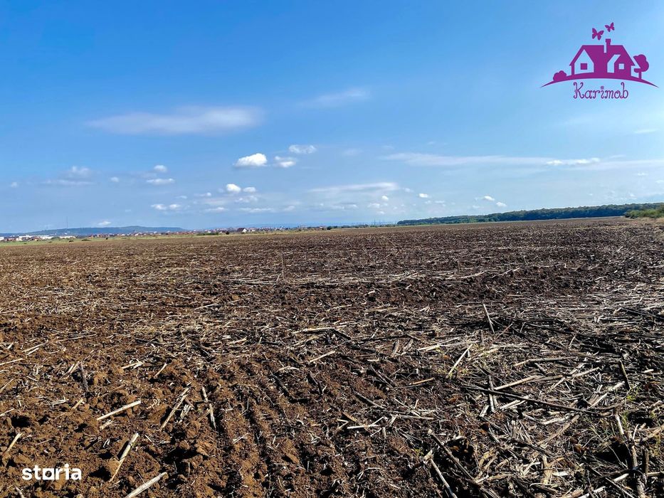 Teren pentru investitii zona Grigorescu